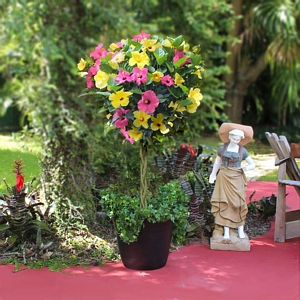 Hibiscus Pink Lemonade Braided Tree